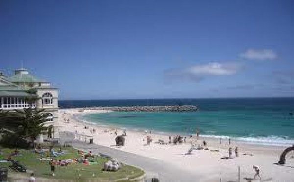 Disparition d’un nageur : un requin pointe blanche suspect numéro un