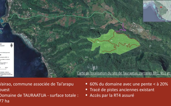 Vairao : des terrains agricoles et des éoliennes à Puunui
