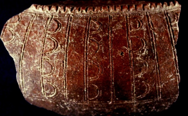 Découverte d’un nouveau site lapita à Vanuatu