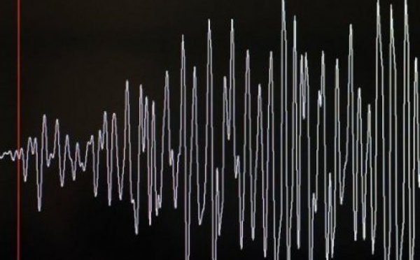 Nouvelle-Zélande: séisme dans la région des îles Kermadec