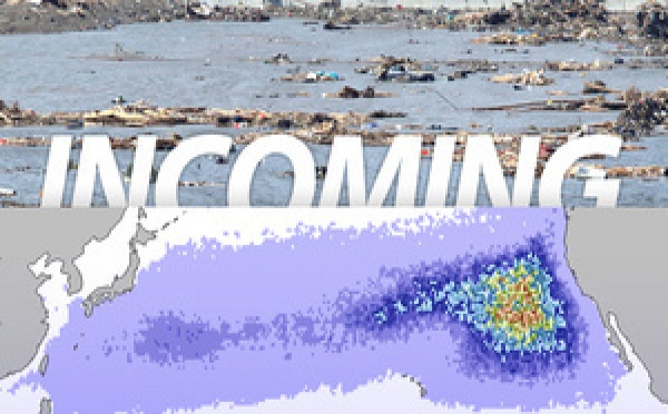 Les débris du tsunami japonais du 11 mars s'approchent d'Hawaii