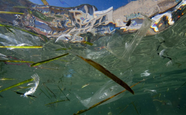 La France, plus gros producteur de déchets de plastique en Méditerranée, selon WWF