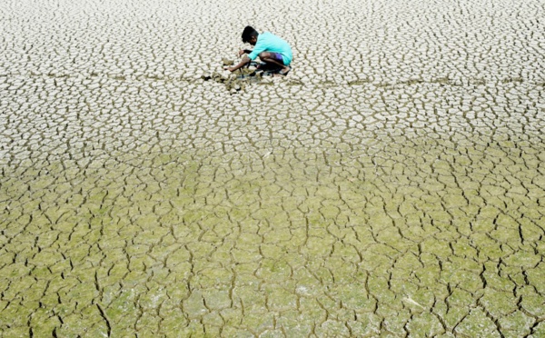Dans l'Inde en sécheresse, un homme tué dans une rixe pour de l'eau