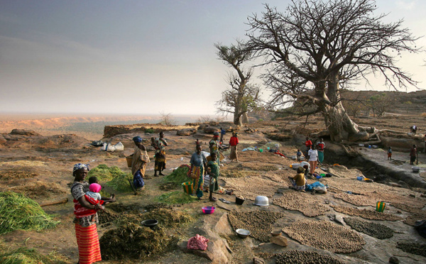 Mali: nouveau "carnage" dans le centre, la "survie" du pays en jeu, selon IBK