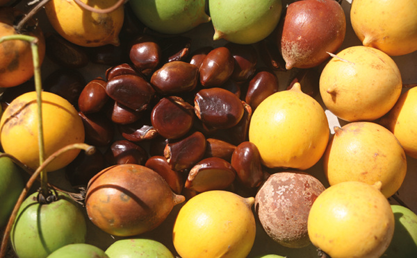 Carnet de voyage - Balade autour de Raivavae