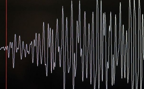 Plusieurs séismes ont secoué la Nouvelle-Zélande