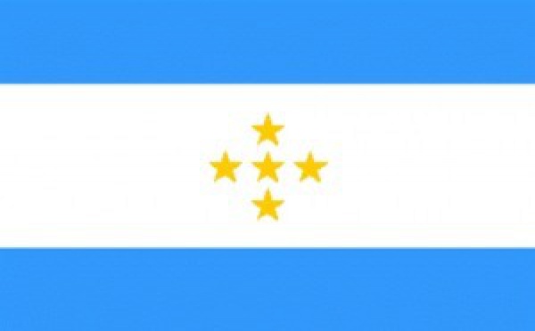 Le Tavini répond à Flosse, le "morveux qui refuse de se moucher"