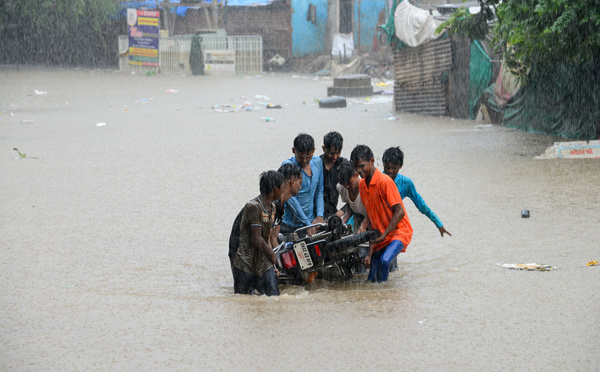 Inde: des crocodiles dans la ville