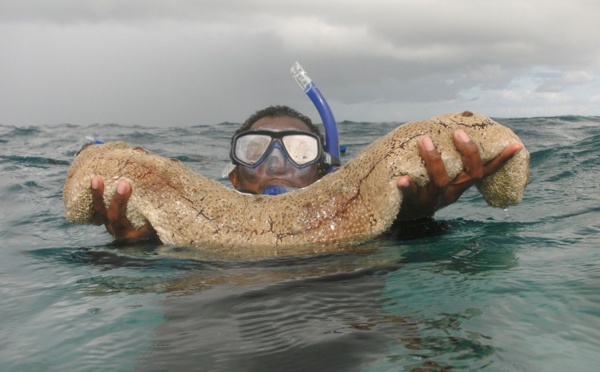 La pêche aux rori reprend à Fakarava, Toau et Kauehi