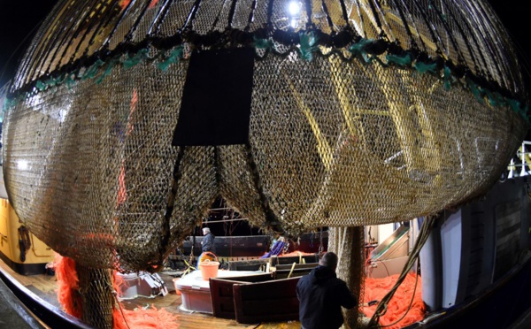 Interdiction de la pêche électrique dans les eaux françaises: un "première étape" pour les pêcheurs