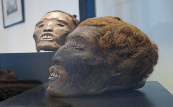 Têtes Maories conservées en France : nouvelle vague de restitutions dans quelques jours