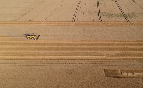 Sécheresse: les céréaliculteurs auvergnats inquiets après une récolte catastrophique