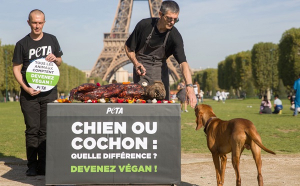 Un "chien" sur un barbecue, les vegans interpellent les touristes à Paris