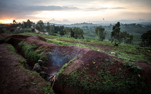 Forêts: l'Afrique brûle aussi, mais pas comme l'Amazonie