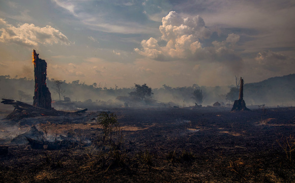 Brésil: Bolsonaro interdit les brûlis pour tenter de freiner les incendies en Amazonie