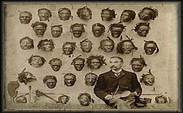 Les experts du Muséum font parler les têtes maories avant leur restitution