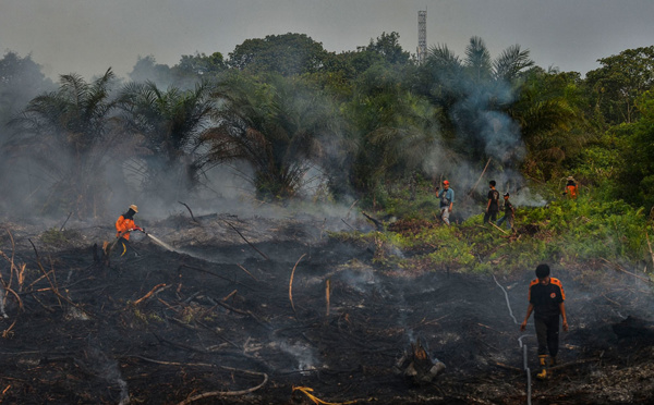 Feux de forêts en Indonésie: des centaines d'écoles fermées en Asie du Sud-Est