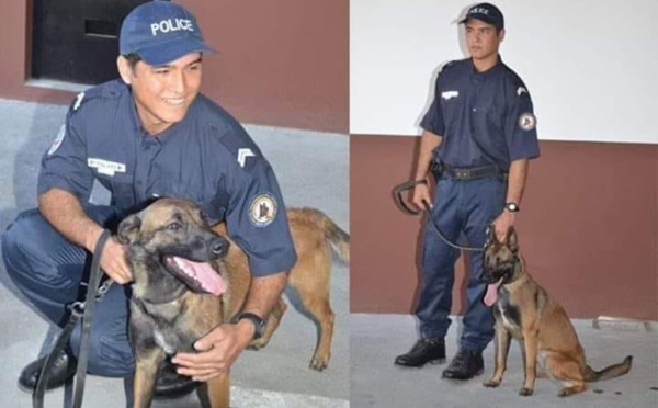 La chienne de la DSP Jipsy décorée