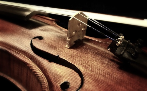 GB : un violon de 310 ans oublié dans un train