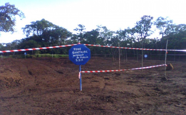 51 000 poules enfouies à proximité des habitations à Taravao, une association se mobilise