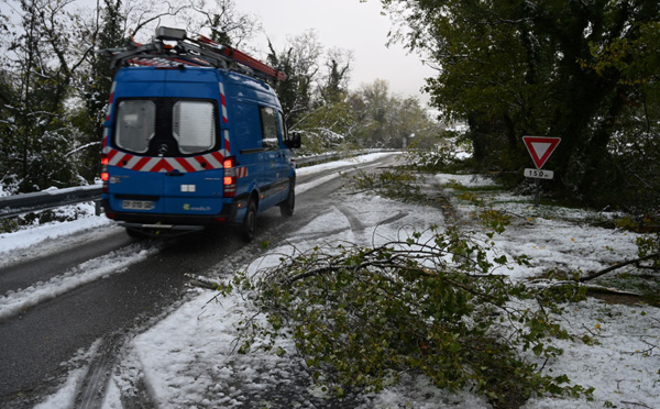 Encore 29.000 foyers privés d'électricité après la neige en Rhône-Alpes