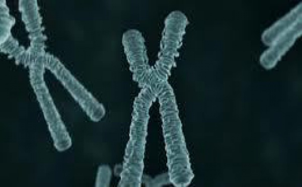 ASSISES: le meurtrier d'une adolescente condamné à la perpétuité 25 ans après les faits