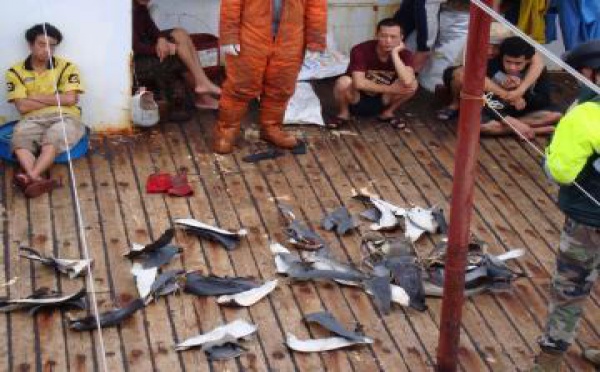 Opération TAUTAI 2012: contrôle de la pêche en Pacifique