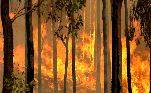 L'ONU prévoit une météo extrême après une décennie record de chaleur