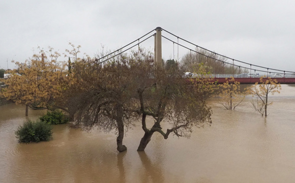 Tempête Gloria dans le sud: près de 2.000 habitants évacués, retour progressif à la normale