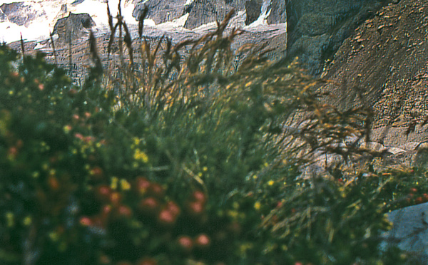 Torres del Paine, diadème de la Patagonie