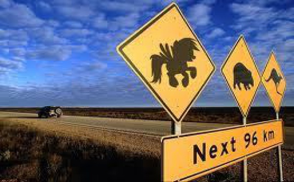 Fort taux de migration des Néo-zélandais vers l’Australie