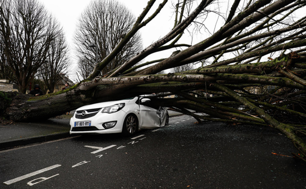 Tempête "Dennis": 20.000 foyers toujours sans électricité en France, selon Enedis