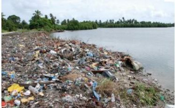 Des os de disparus du tsunami japonais pourraient s'échouer en Amérique