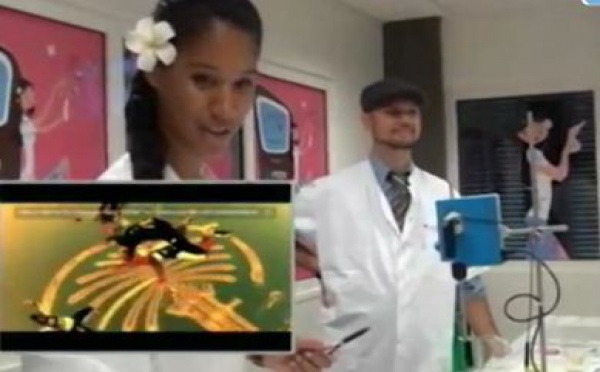 Cosmetic academy: Deux candidates aux miss 2012 ont créé des brumes de beauté