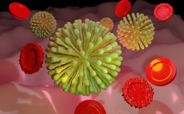 Le coronavirus en questions