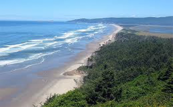 Un ponton emporté par le tsunami au Japon s'échoue sur une plage de l'Oregon