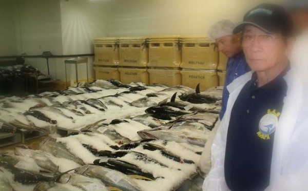 Commerce extérieur : nette augmentation des exportations de poissons