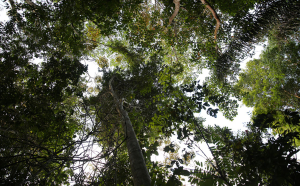 Un village amérindien de Guyane mis en quarantaine par arrêté du préfet