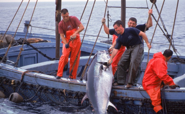 Un nouveau directeur pour l’agence des pêcheries du Forum