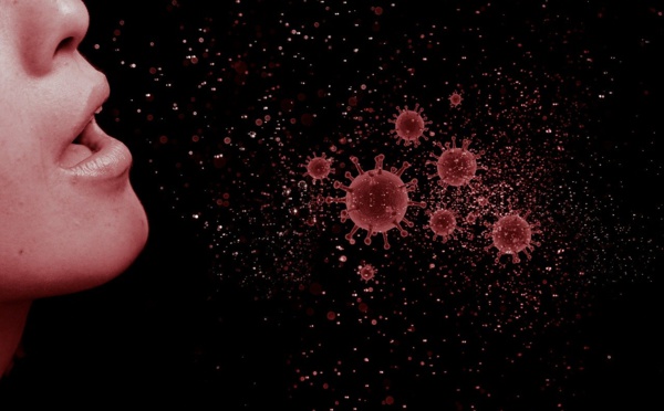 Virus: le bilan frôle les 200.000 morts, l'OMS met en garde contre les "passeports immunitaires"
