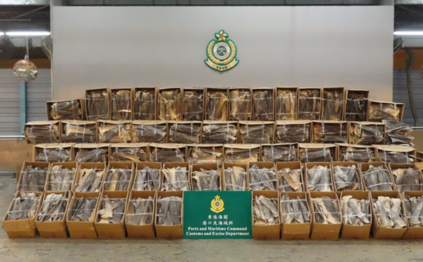Hong Kong: saisie record de 26 tonnes d'ailerons de requins