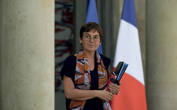 Au-delà d'Air France, le gouvernement "accompagnera les autres compagnies aériennes", promet Girardin