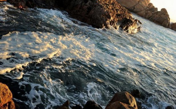 Les milieux marins d'Australie sévèrement dégradés par le réchauffement