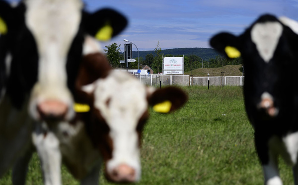 Les abattoirs, pépinières à coronavirus?