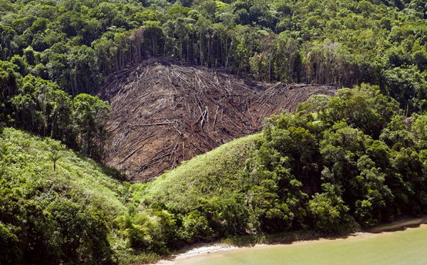 En Guyane, les opposants à la mine d'or repartent au combat