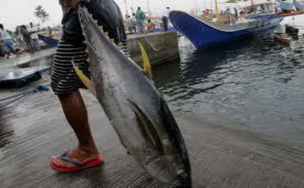 Entrée en vigueur de la nouvelle convention de pêche du Pacifique Sud