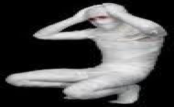 Australie: un Français brûlé après l'embrasement de son déguisement