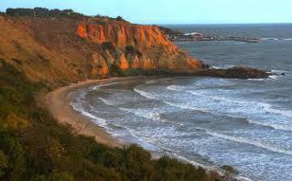 Un surfer australien grièvement blessé par un requin