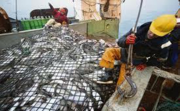Wellington annonce un fonds de protection des pêches dans le Pacifique