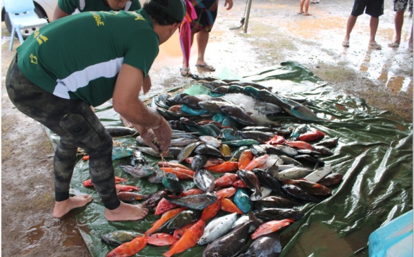 En mémoire d’un « géant » de la pêche: 1er mémorial TEIVA TERII et 2ième journée du championnat de Polynésie par équipes